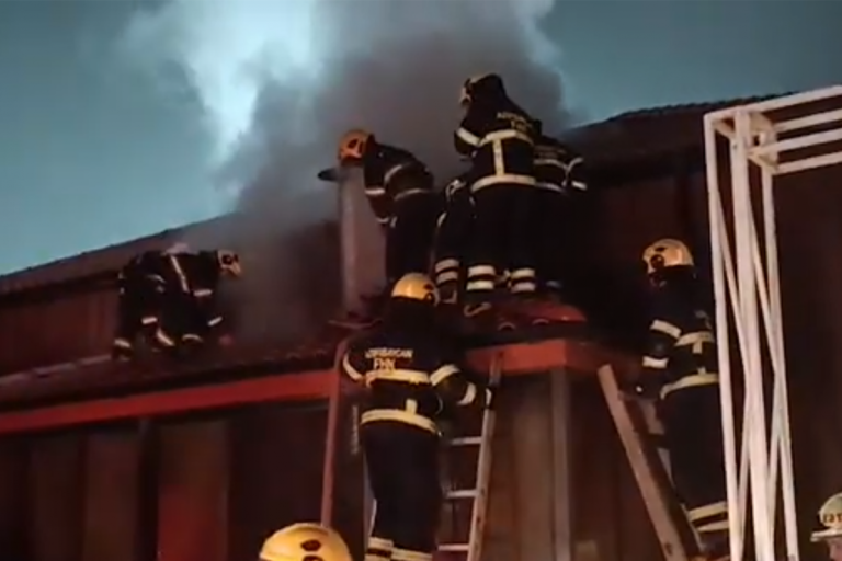 697dac5a8b7e1697dac5a8b7e21769843802697dac5a8b7df697dac5a8b7e0