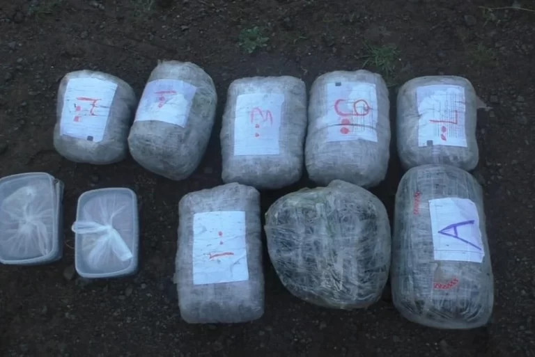 7d042bc8-f1c4-3e6f-b168-38315e45a16f_825