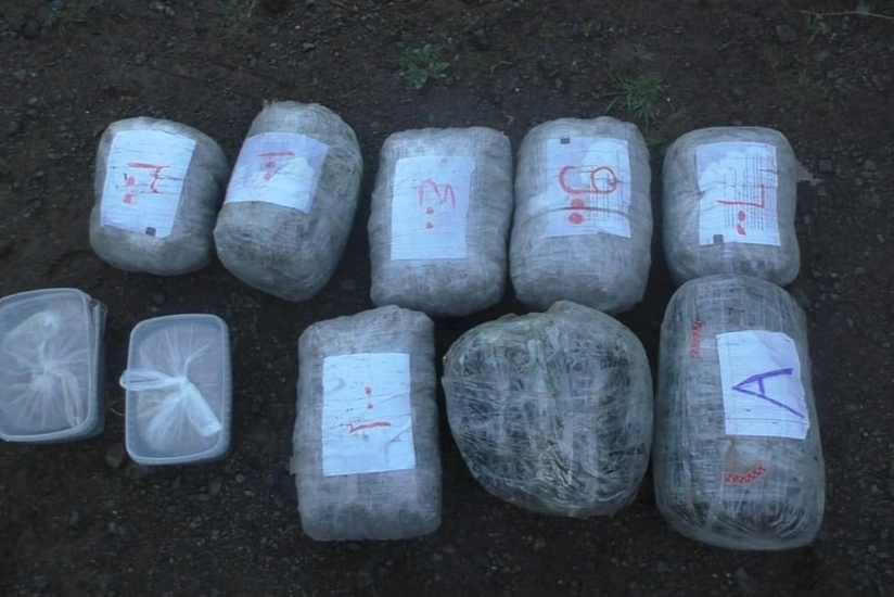 7d042bc8-f1c4-3e6f-b168-38315e45a16f_825