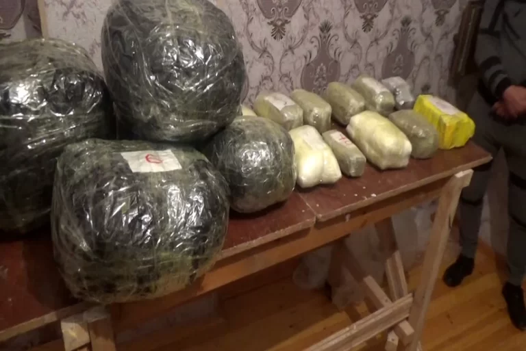 99913318-9d5b-3f06-badc-bd95a9063c03_825