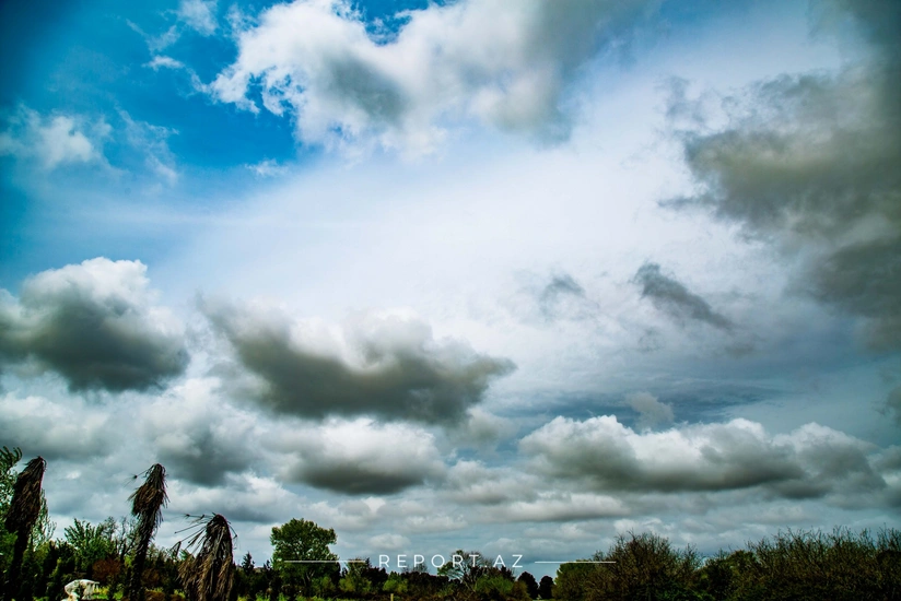 9TJJNR6OQXmCHeHGPJJgRoOVOFWq5Rzrrzqj1bLD_825