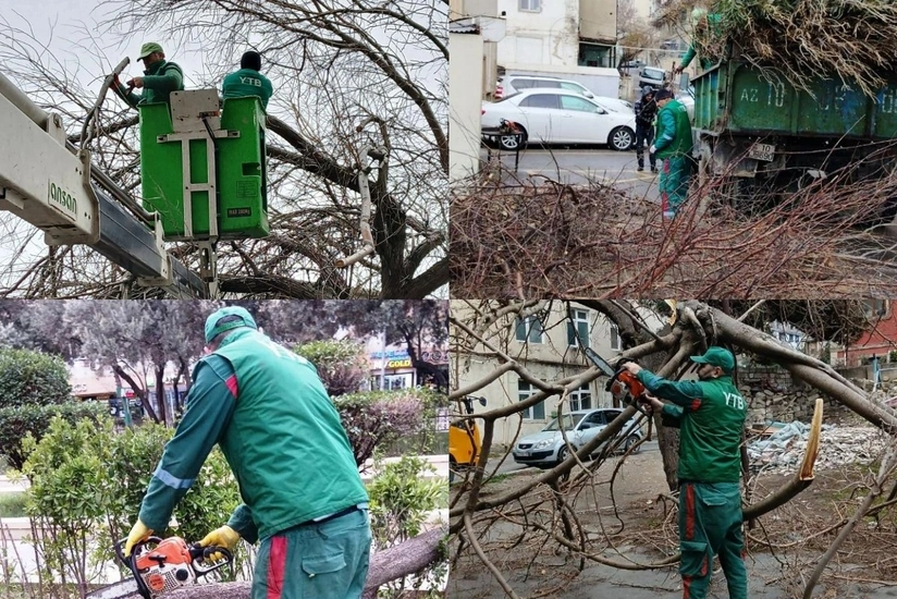 CGaJuwJ7iShInx50XUmCq3TtB0oA1zUUq2vesuYA_825