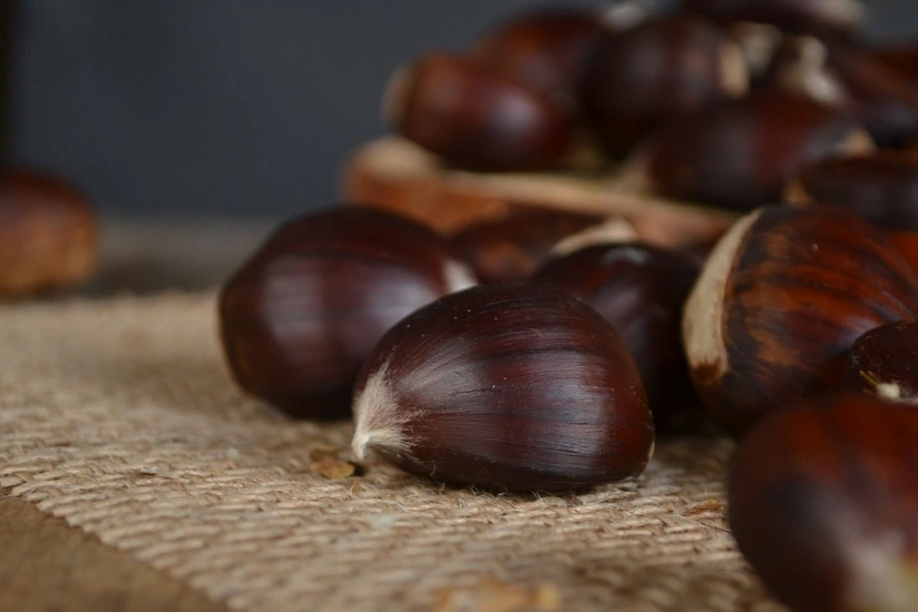 CQvamaeYeuAAy4BjnYWNTaKR3wDzwJ9Hqg9oFzKW_825