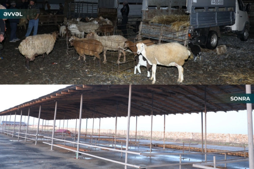 GKsQ2namZb2lJ8R5TBVC6vD8weDt24abBQUGwPhs_825