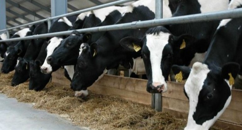 ab4511bf0feebddd30fdde6a72716308