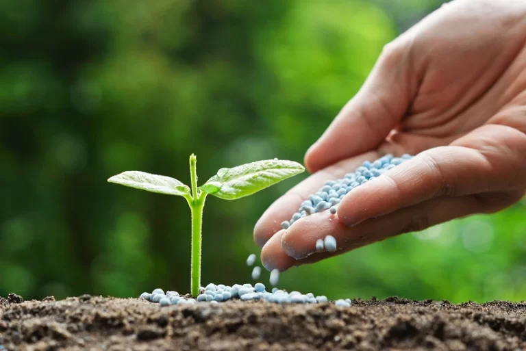 af7ed51e-2f48-3c7a-8149-ccb514e1001c_825