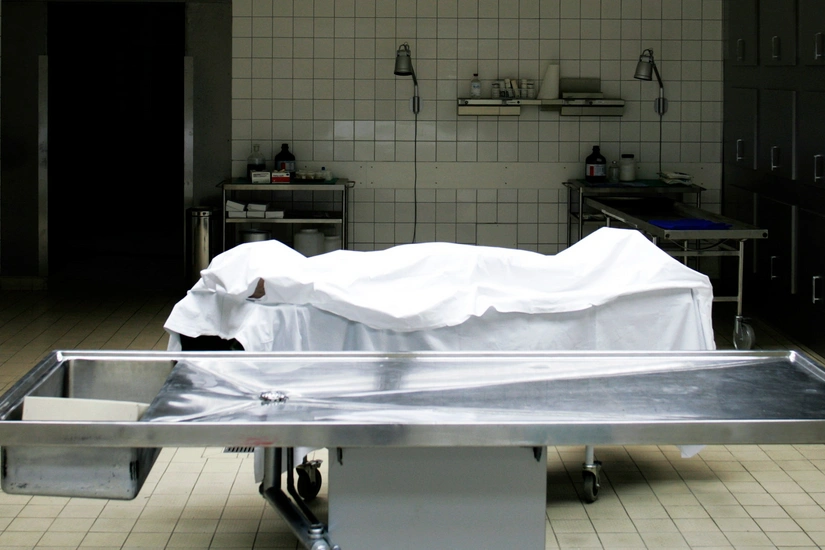 d0d188b3-3802-3c14-bff7-d4077f235650_825