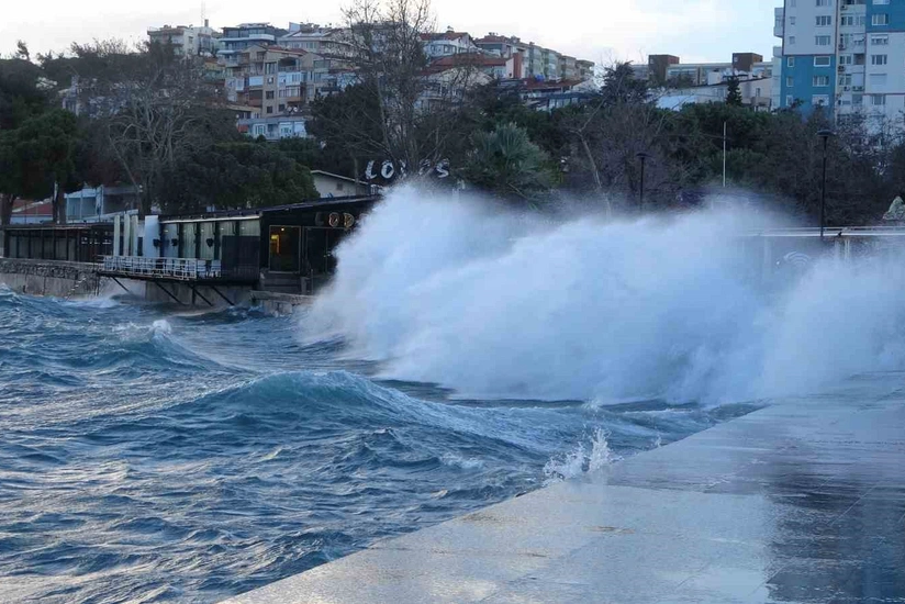 e2RDuLVRU2aoeo3f5Rpe4zxyD1LnjO4zAIsazvLi_825