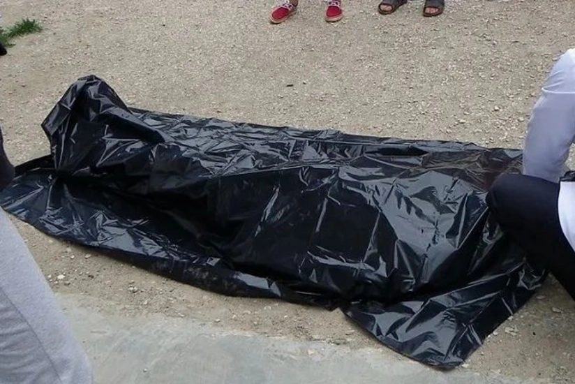 ee851608-ab8e-3ad7-a284-c921a7ce6884_825