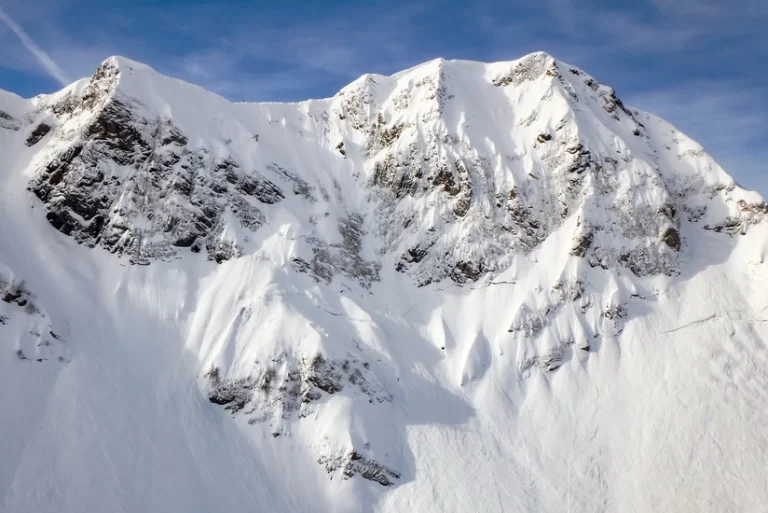 vINWmTECrG26z3ZicXNSgiUiauk5YcKFYGRxXmAS_825