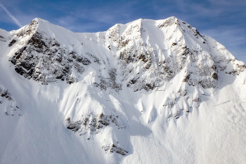 vINWmTECrG26z3ZicXNSgiUiauk5YcKFYGRxXmAS_825