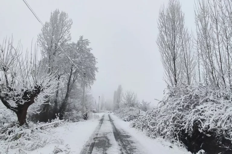 vNZ362E04fqneXCfnN4iSjva197ElP6gBrC2EWUl_825