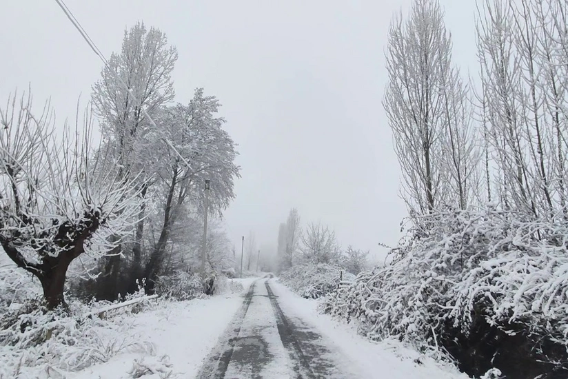 vNZ362E04fqneXCfnN4iSjva197ElP6gBrC2EWUl_825