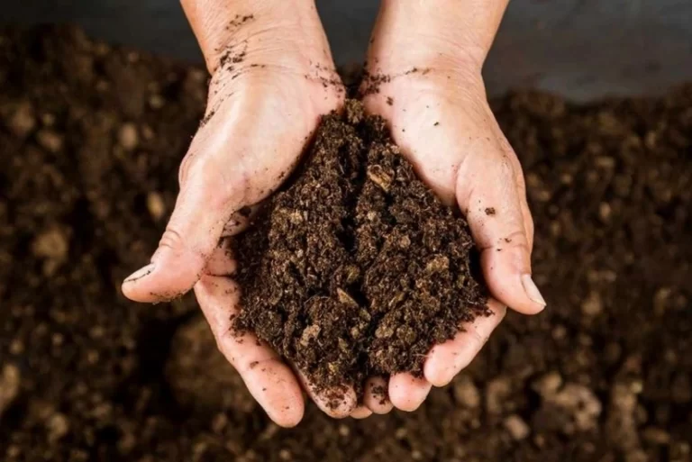 xumj3I5gFbKR42AFIwIXJ1EJbkfA2nwAxMsmnXux_825