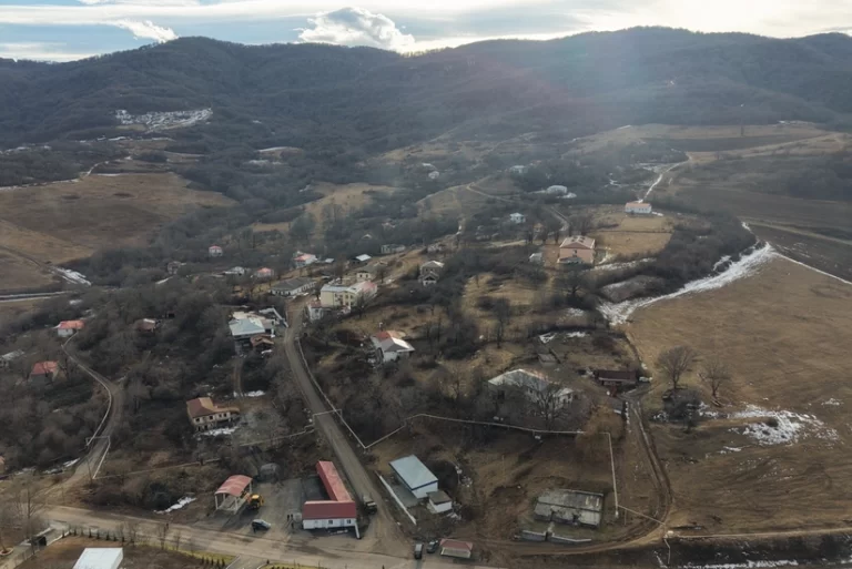 yC7VT6oFX0PhNjkV42tDbcYyQ8tMD8kCKC74yhWX_825