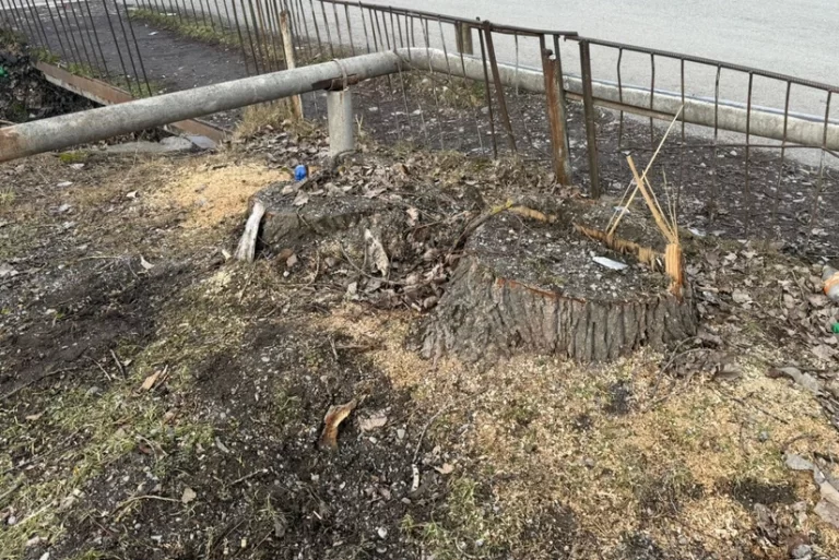 zELenyhLajTrJp4caMMD7xpTd6ZM8QIfQKJmzrrm_825