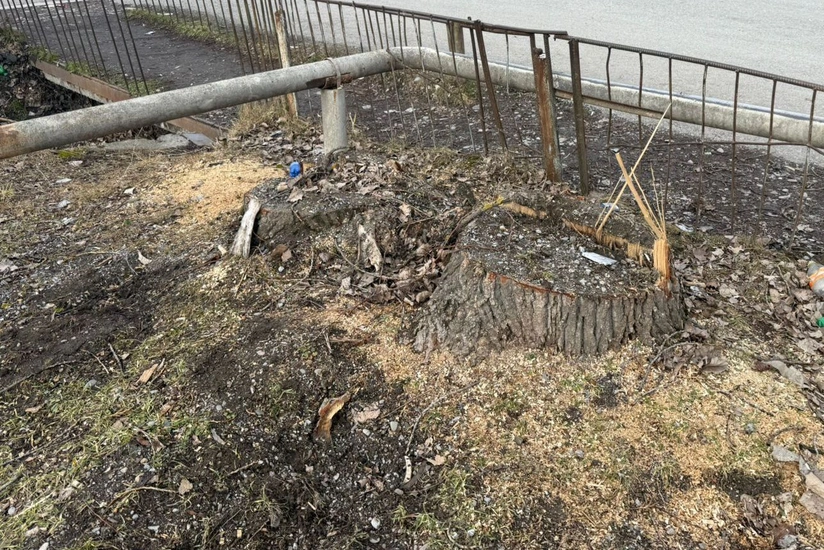 zELenyhLajTrJp4caMMD7xpTd6ZM8QIfQKJmzrrm_825