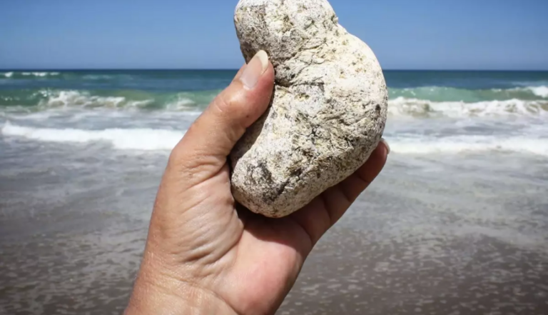 06e658ac2852da7e35477f7311649df4