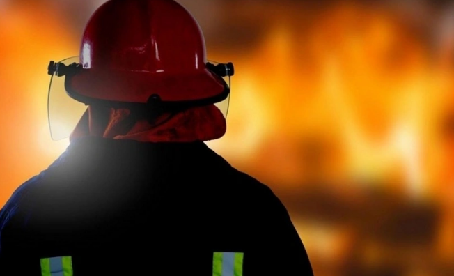 1770009349_screenshot-2026-02-02-091421