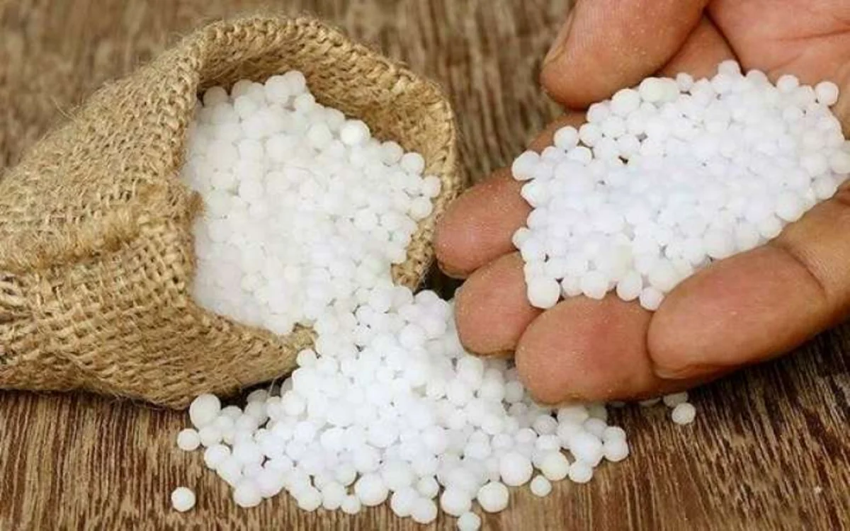 1771668693246507067699984d504d0c