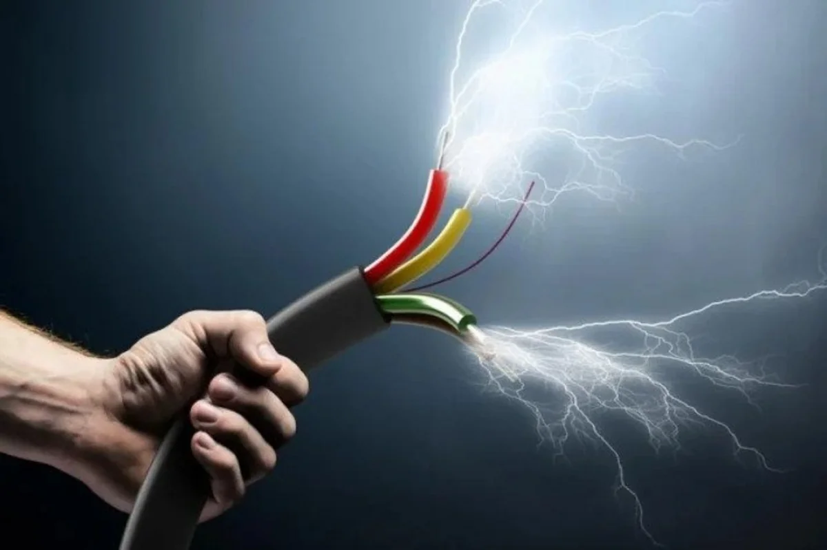 1880ab4d-086c-3bb3-8b5e-51137f7c9b38_1200