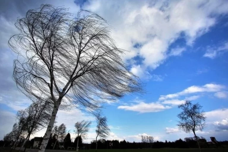 1bbdb551-92d8-41a7-a226-00e3f8ad8c72_825