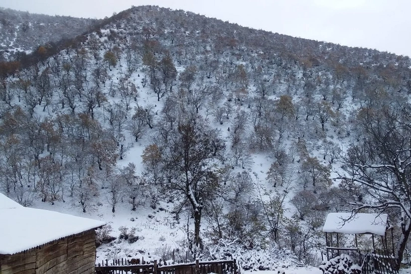 3103e53d-c451-3d7d-87e5-44879bb0c66c_825