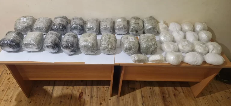 37C05EaWNvCnWjBvRzIW3frNl6ojx6JqQOX2TCIB_1200