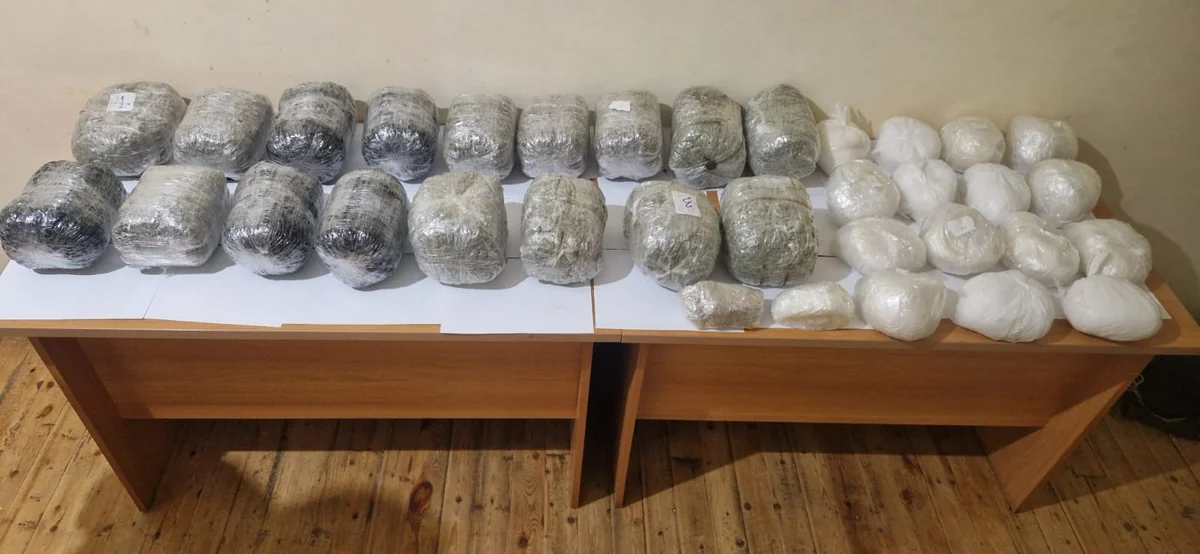 37C05EaWNvCnWjBvRzIW3frNl6ojx6JqQOX2TCIB_1200