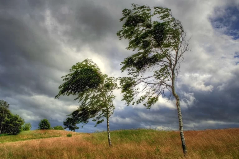 4a7a22d6-1536-4f55-8fda-219f6f26a91e_825