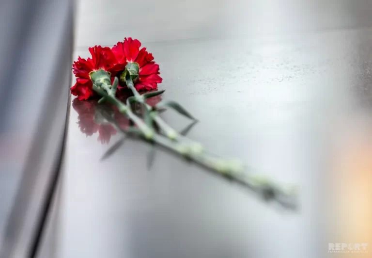 66884844-a6e1-482f-8700-4df4ec4f25f7_1200