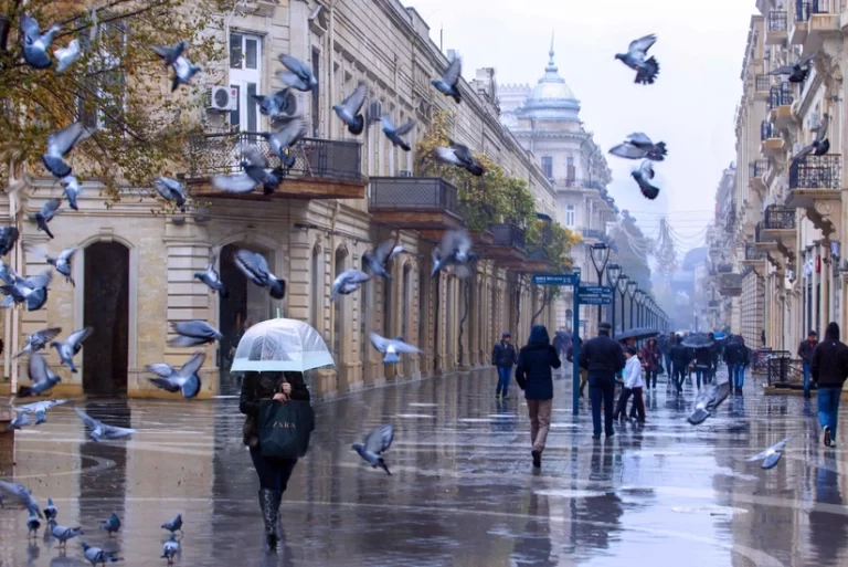 7fa7feae-4375-34cc-b761-77b3aefb0592_825