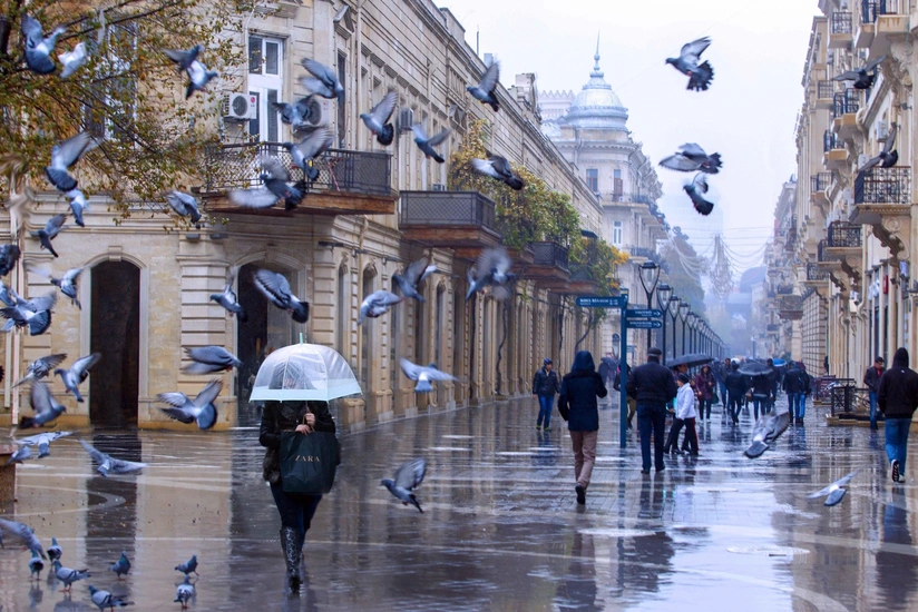 7fa7feae-4375-34cc-b761-77b3aefb0592_825