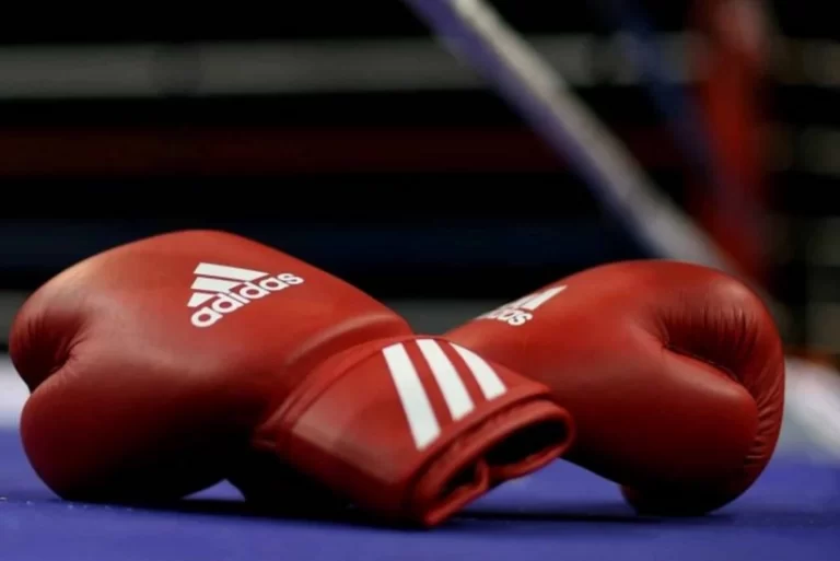 80346123-2b14-37ff-ae2c-4c777632194b_825