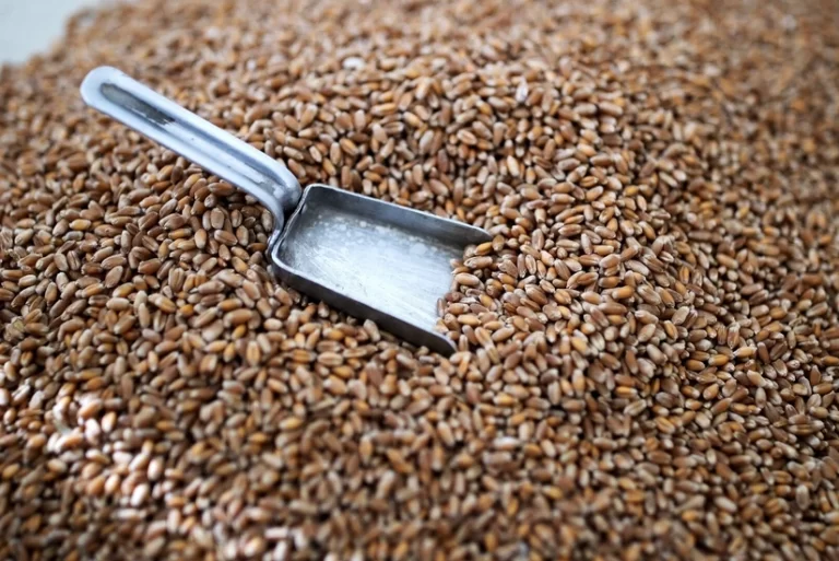 8b0acb37-f576-33ff-b914-d9b6667eb6c7_825