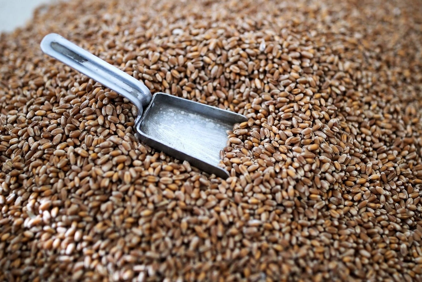 8b0acb37-f576-33ff-b914-d9b6667eb6c7_825