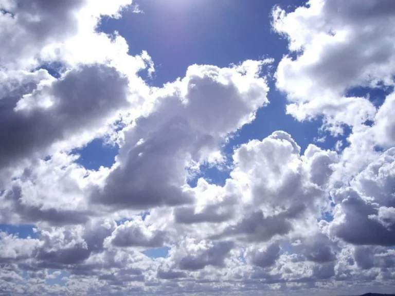 9dc3882d-4f37-4ede-8c70-0615189a6de5_1200