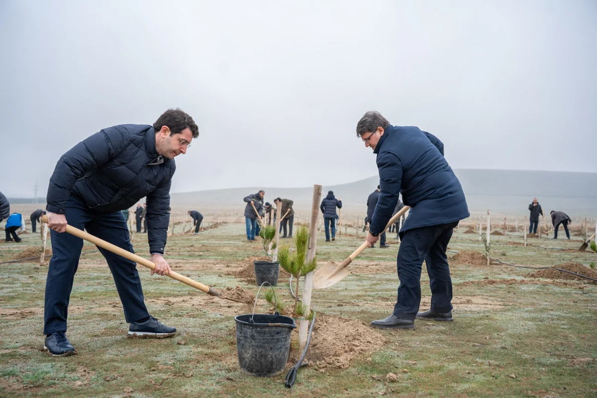 EPcs2ZoV0hUTn4BOH0mZZQ41WZRFzLO4sOXjYSBB_1200