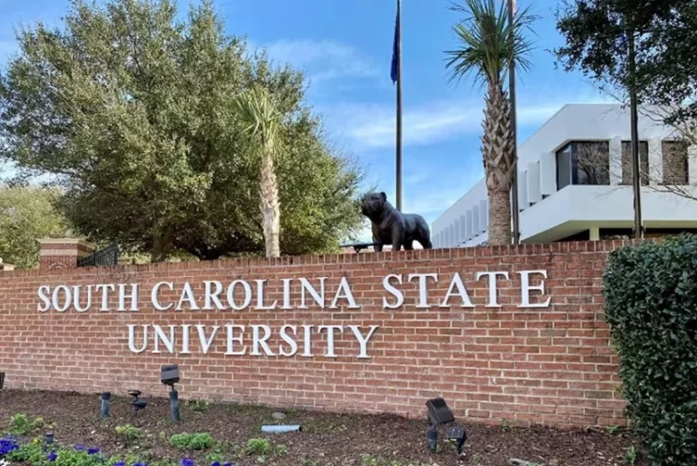 I5xg2GJedcmsO5ayf0O2p1kWNzSghxFMFxCDdP9Z_825