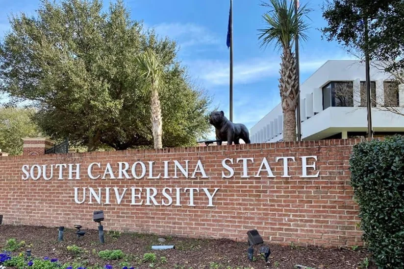 I5xg2GJedcmsO5ayf0O2p1kWNzSghxFMFxCDdP9Z_825