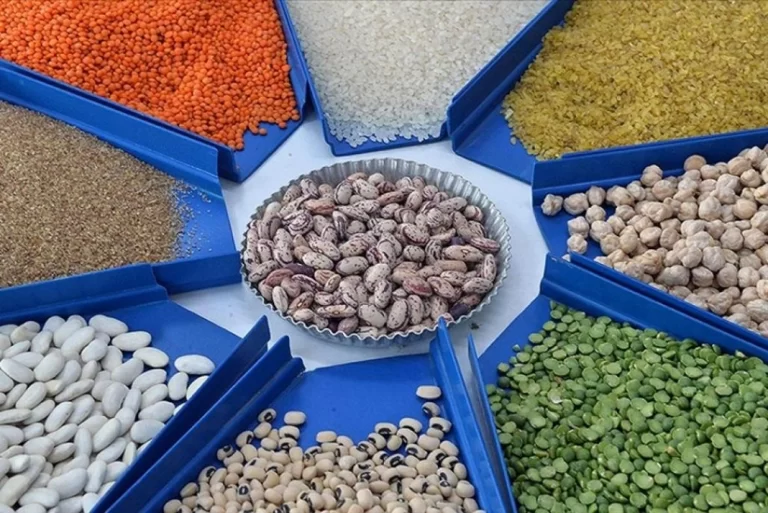 KW5nSzVkL2NvqECw7jruRj6oXPU9kAS90pq6AAAD_825