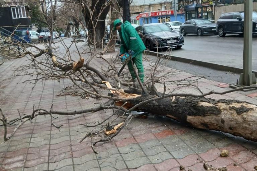 KnrCGwWoPvc4sJAgkandqynqTFyUsK9yuA4B6RJL_825