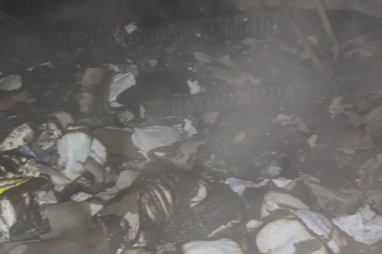 WG74MfXW2ywnDxg4iyfulEaMf873v9hatbHkiQUg