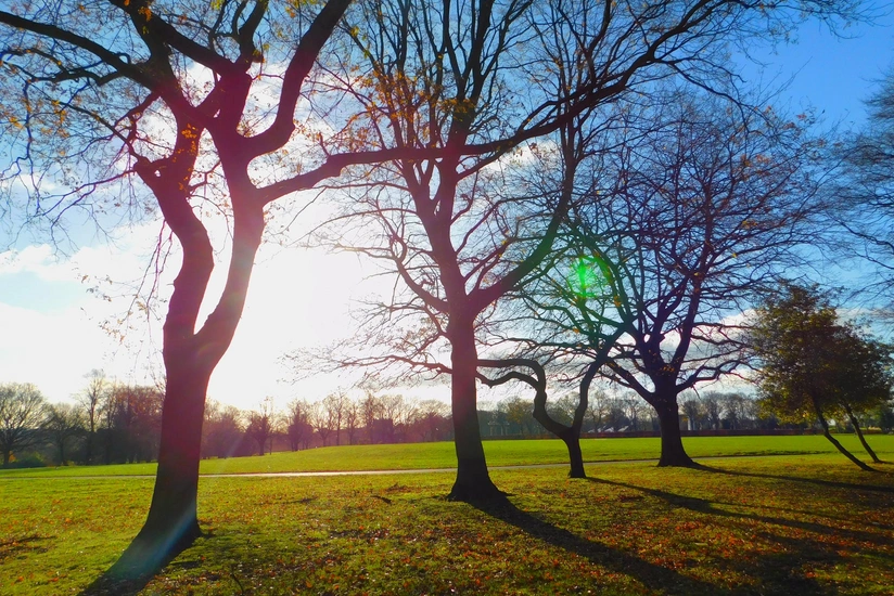 YtFjPys9VcIOcCWTYXstACSkXUgqJQm6a9WFUOl7_825