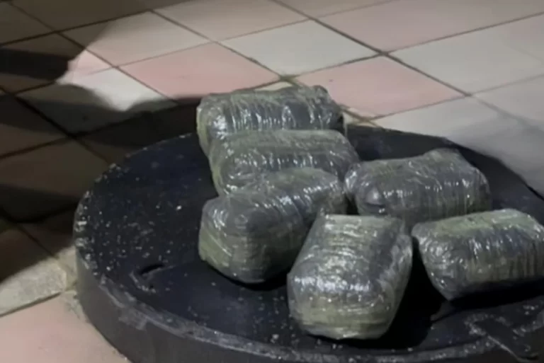 b51b2144-74eb-3fbe-8af5-c07ade5f8318_825