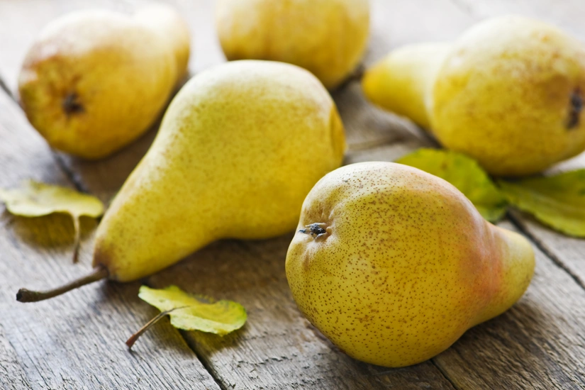 df58c054-f301-3f0f-8cd8-f7acdcfcdee6_825