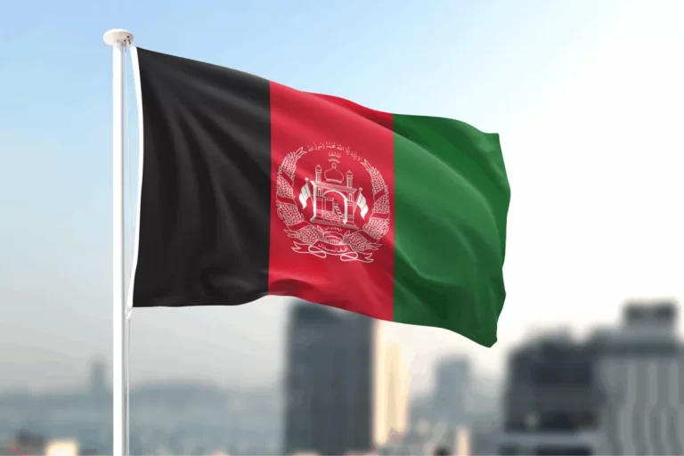 fCmfFWgsf5Cx84PZyYKt7CxY11eIvfELyBbzaFTg_1200