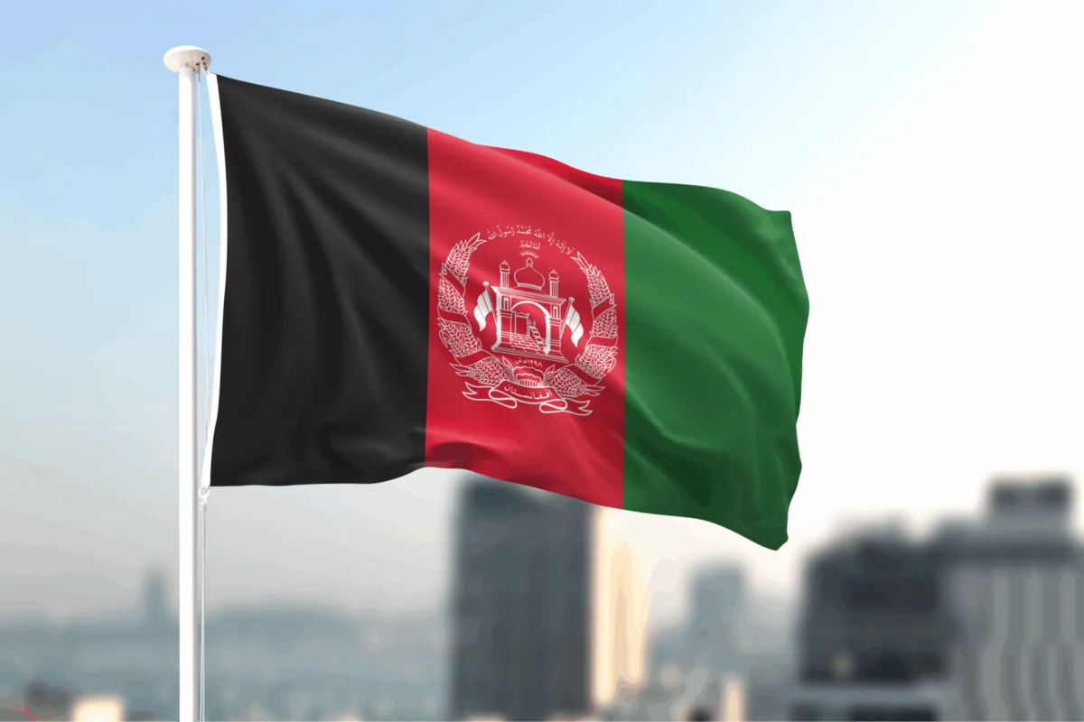 fCmfFWgsf5Cx84PZyYKt7CxY11eIvfELyBbzaFTg_1200