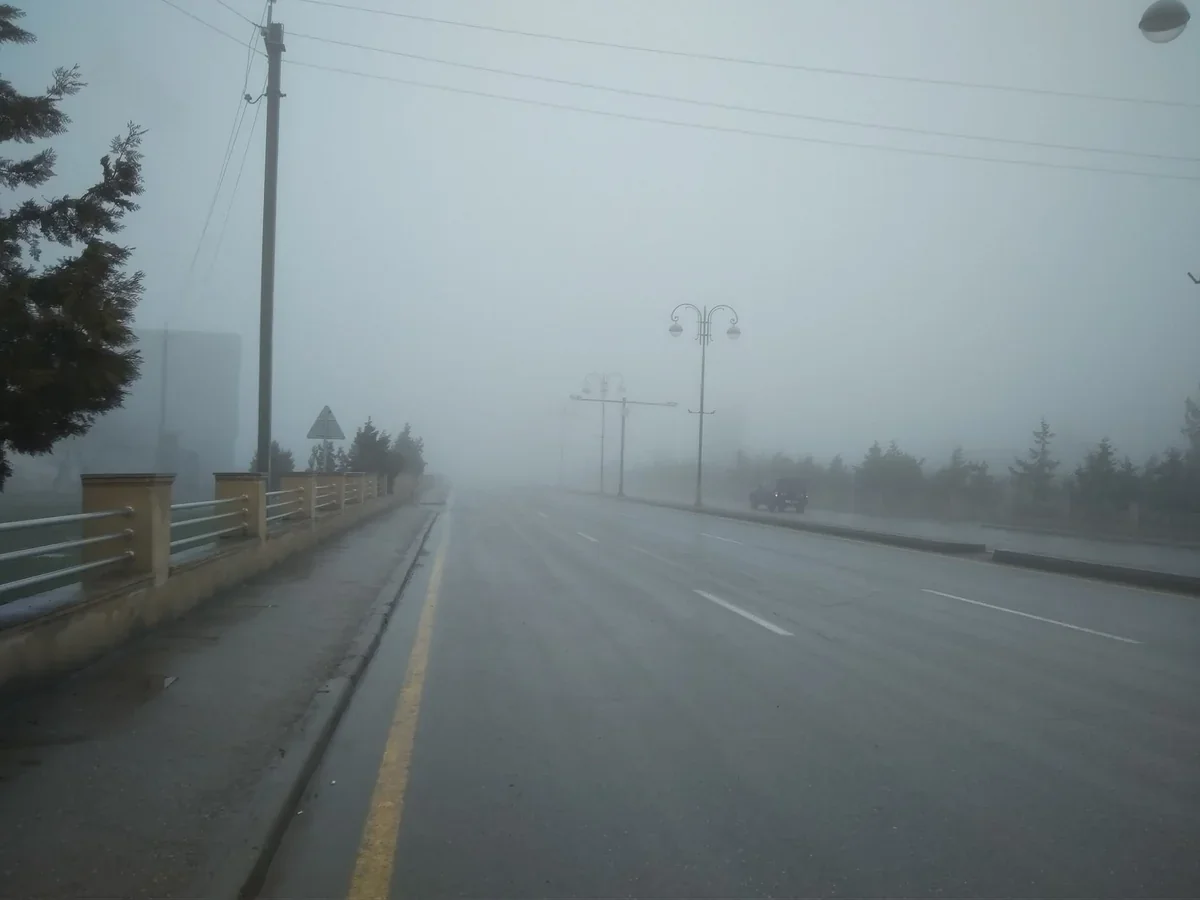 jYIbFu9LvxasrR7QytaLoxNjrXpaz5hT7EdLM3W9_1200