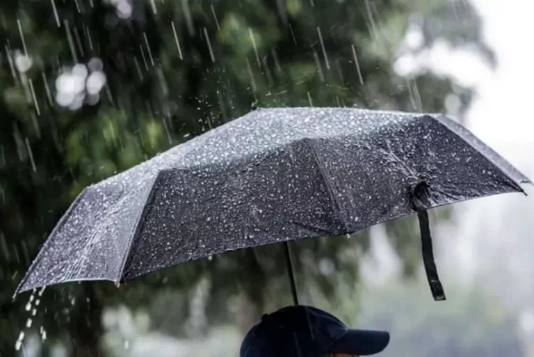 rK5KimwoZs3Oj0D405E8bOZXAfmJQN4VLx0SIIG7_825